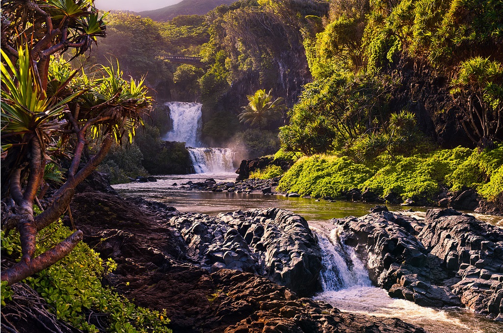 CRUCEROS HAWAII MAUI ISLAS DEL PACIFICO VIAJES DE NOVIOS HAWAII CRUCEROS HAWAI CRUCEROS MAUI CRUCEROS LUNAS DE MIEL PACIFICO CRUCEROS NOVIOS CRUCEROS ROMANTICOS HAWAI DESTINOS EXOTICOS VIAJES DE NOVIOS ORIGINALES